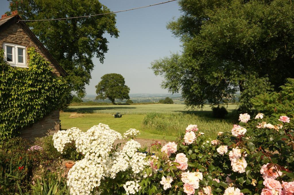Bed and Breakfast Hills Farm Leominster Habitación foto